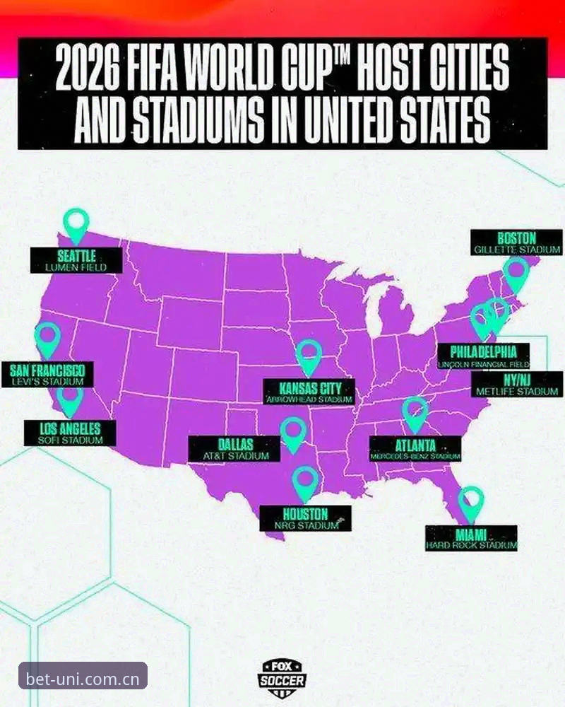2026世界杯观赛体验vs签证困局：一场冷热对比中的体育盛宴